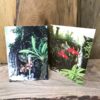 Vykort med botanisk illustration av orkidéer av Stig Dalström
