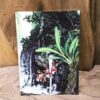 Vykort med botanisk illustration av Odontoglossum harryanum av Stig Dalström