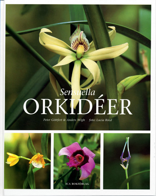 sensuella-orkideer.jpg