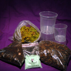 Paket