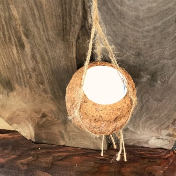 Ampel av kokosfiber, för 7 cm bred kruka