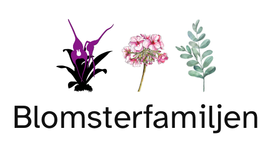 Blomsterfamiljen