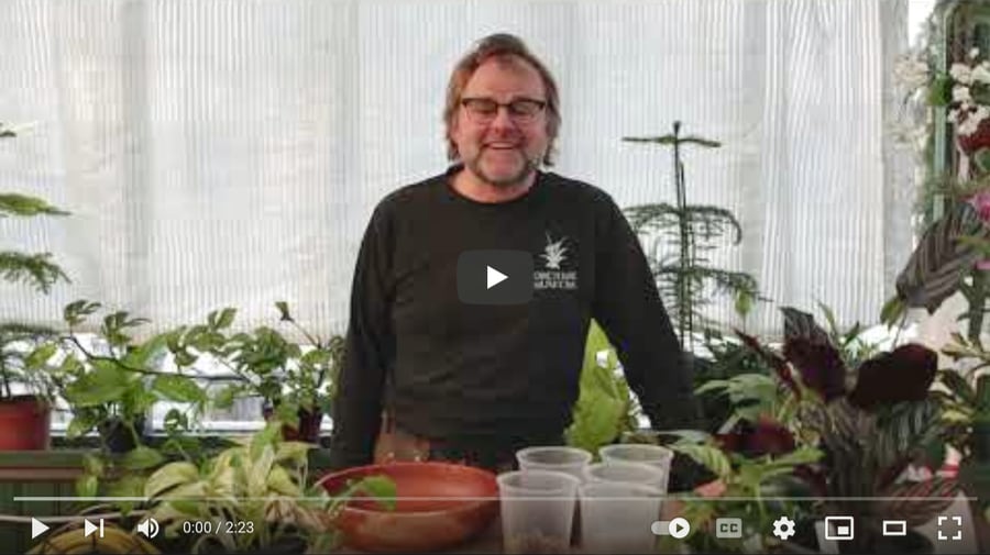 bild-bladhusets-aroid-jordblandning-youtube